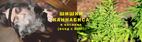крисы Бородино
