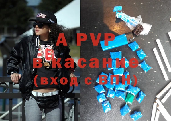 стаф Бронницы