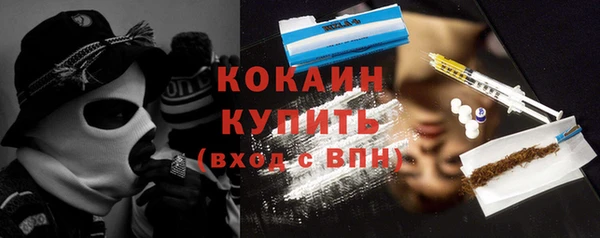 крисы Бородино