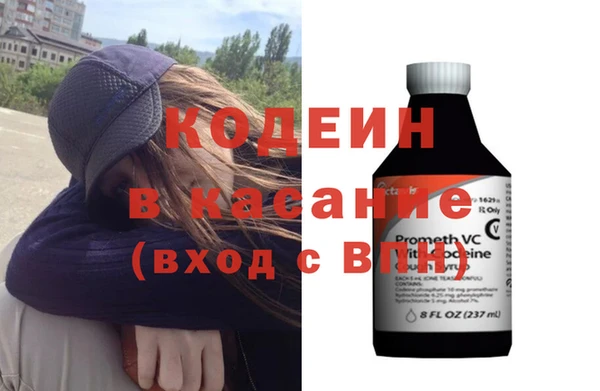 крисы Бородино