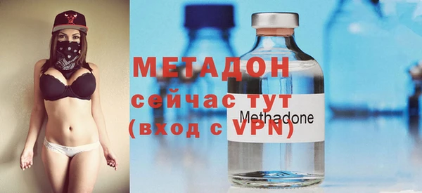 крисы Бородино