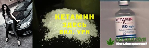 крисы Бородино