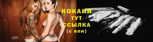 крисы Бородино