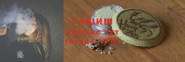 крисы Бородино