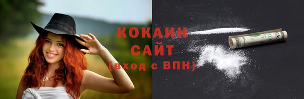 крисы Бородино
