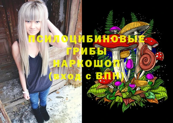 стаф Бронницы