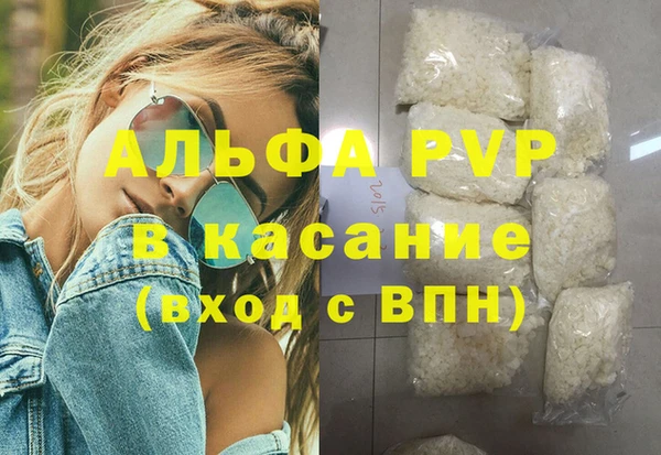 крисы Бородино