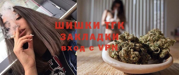 крисы Бородино