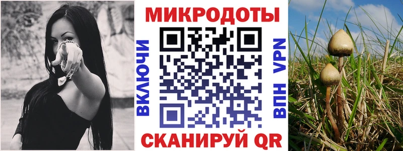 наркота shop как зайти Псилоцибиновые грибы ЛСД Вилюйск